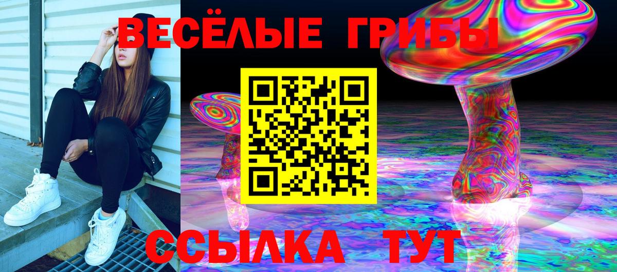 Галлюциногенные грибы Cubensis  Псилоцибиновые грибы MAGIC MUSHROOMS  Вход с VPN  Алатырь 